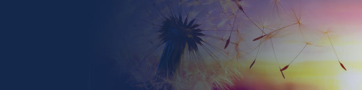 Customer reference 1200x299