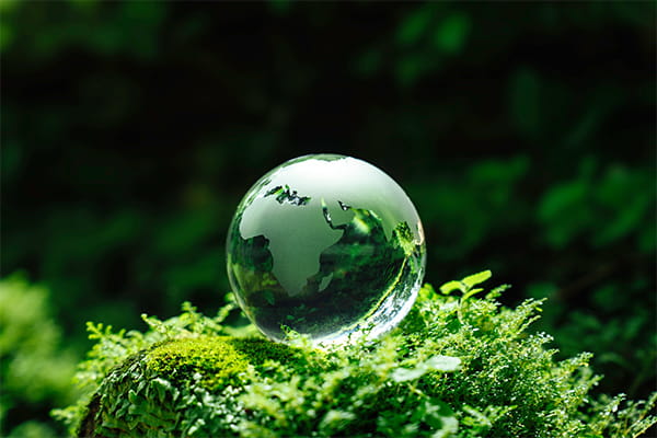 Crystal globe glass on green moss in forest. Crystal globe glass on green moss in forest.