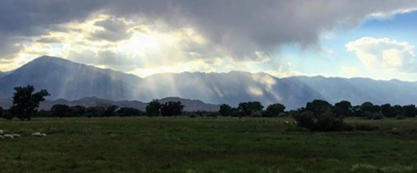 a large green field with mountains in the background