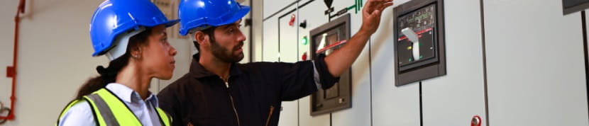 Sitecore.Data.Items.MediaItem?.Alt