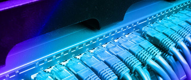 close-up of a network switch with plugs in ports