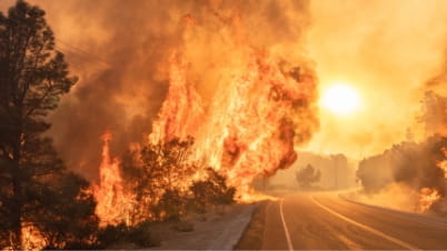 A roadside fire A roadside fire